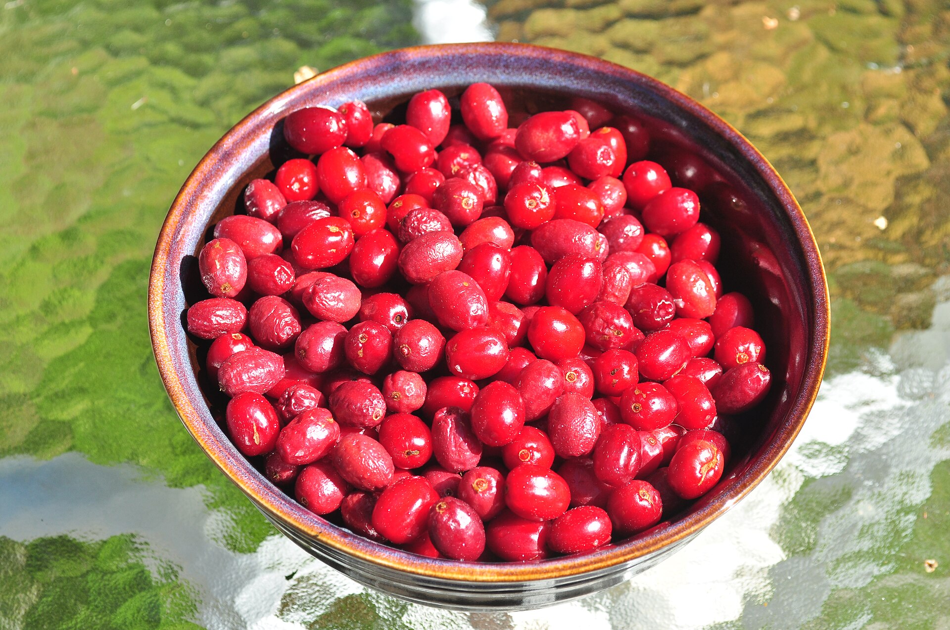 A glazed bowl heaped with ripe cornelian cherries, each small oval fruit deep glossy crimson, set on a garden table