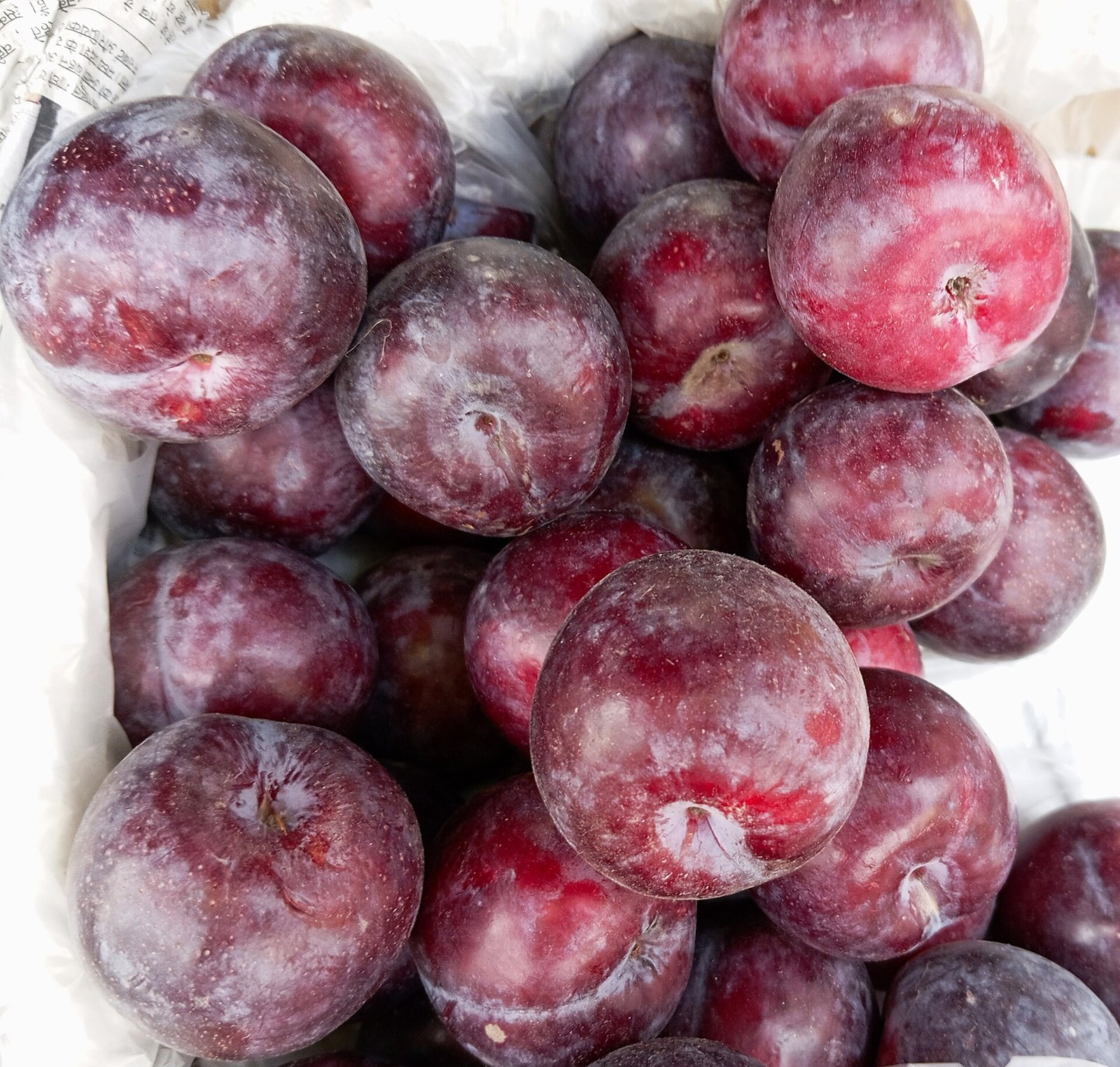 Ripe purple-red plums packed side by side, round fruits with a dusty pale bloom over their skins