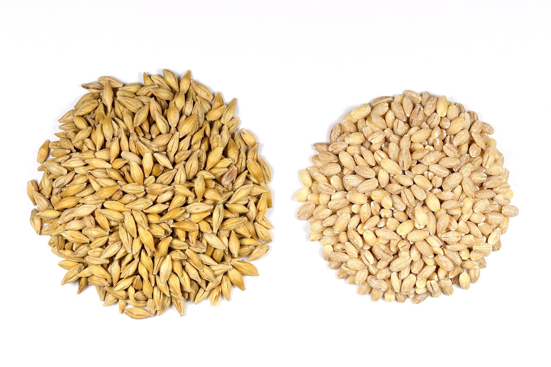 Two heaps of barley side by side on a white surface: hulled grains still in their husk beside pale pearled barley