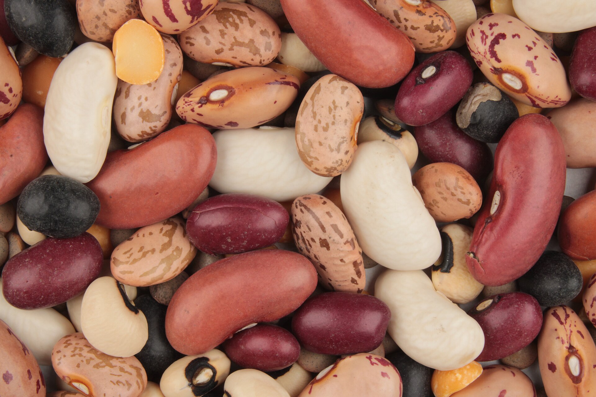 Beans — what it looks like