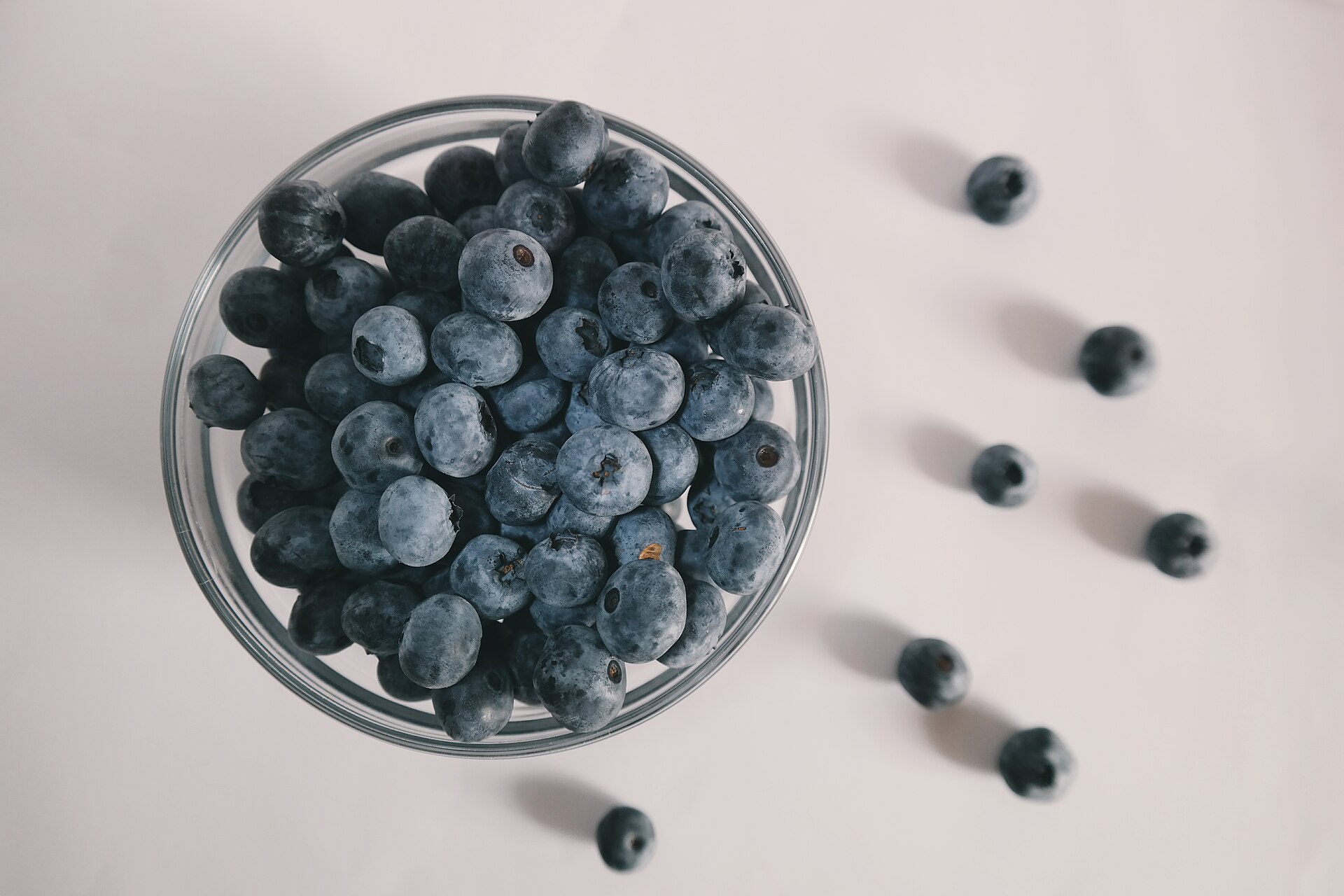 Blueberries — what it looks like