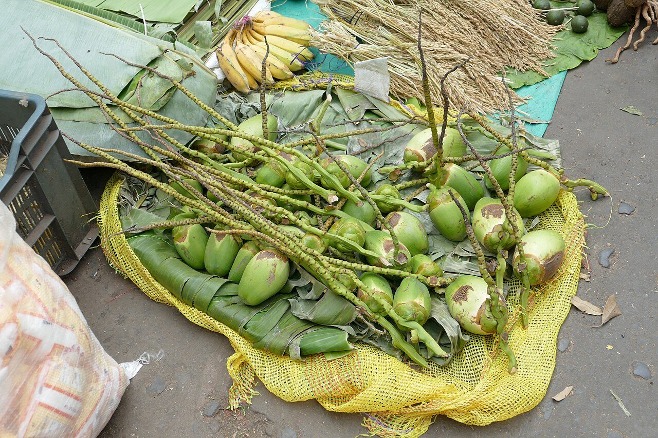 Coconut