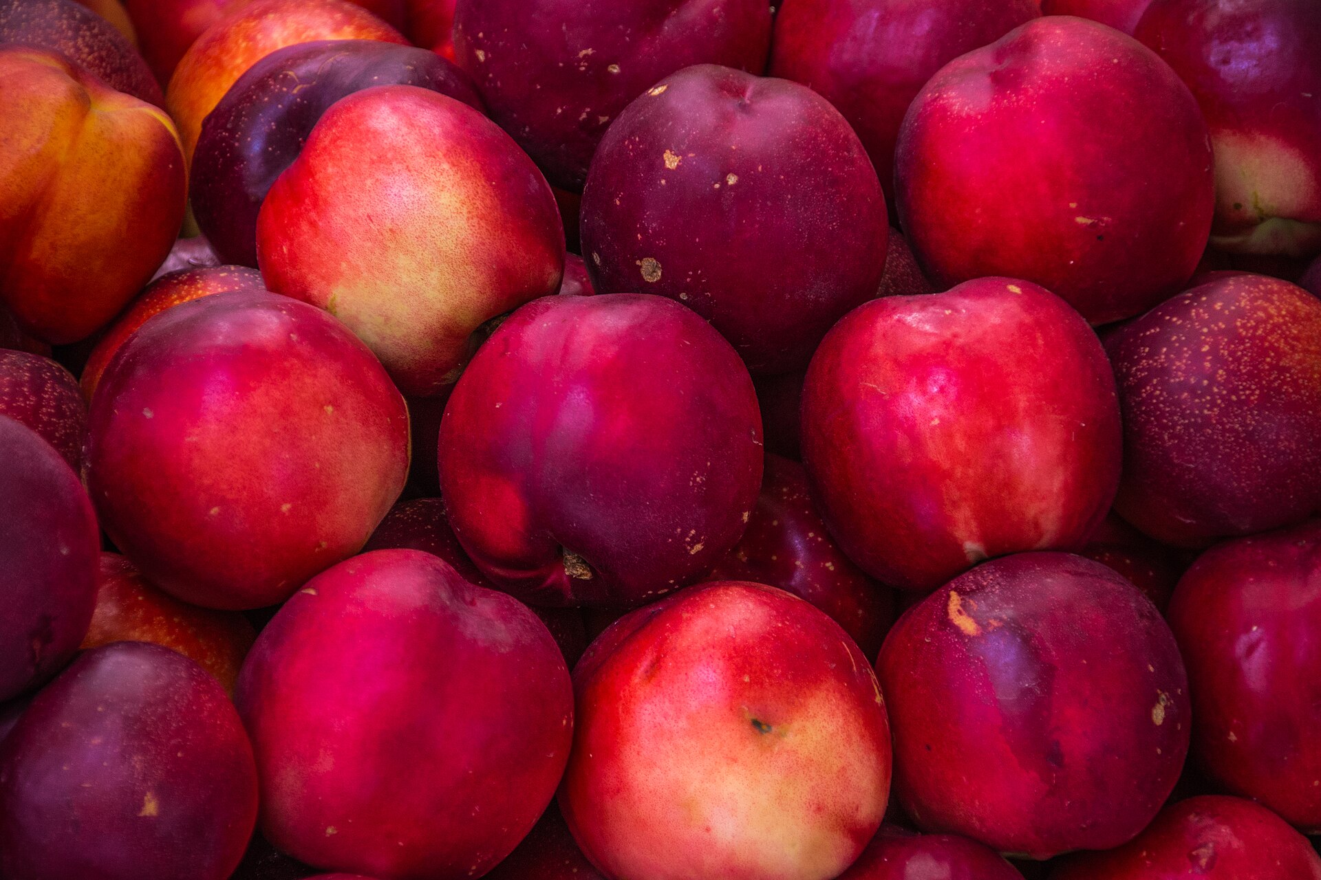 Nectarine