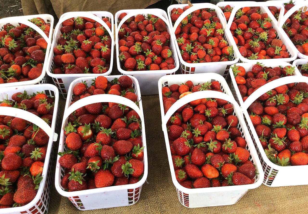 Strawberry