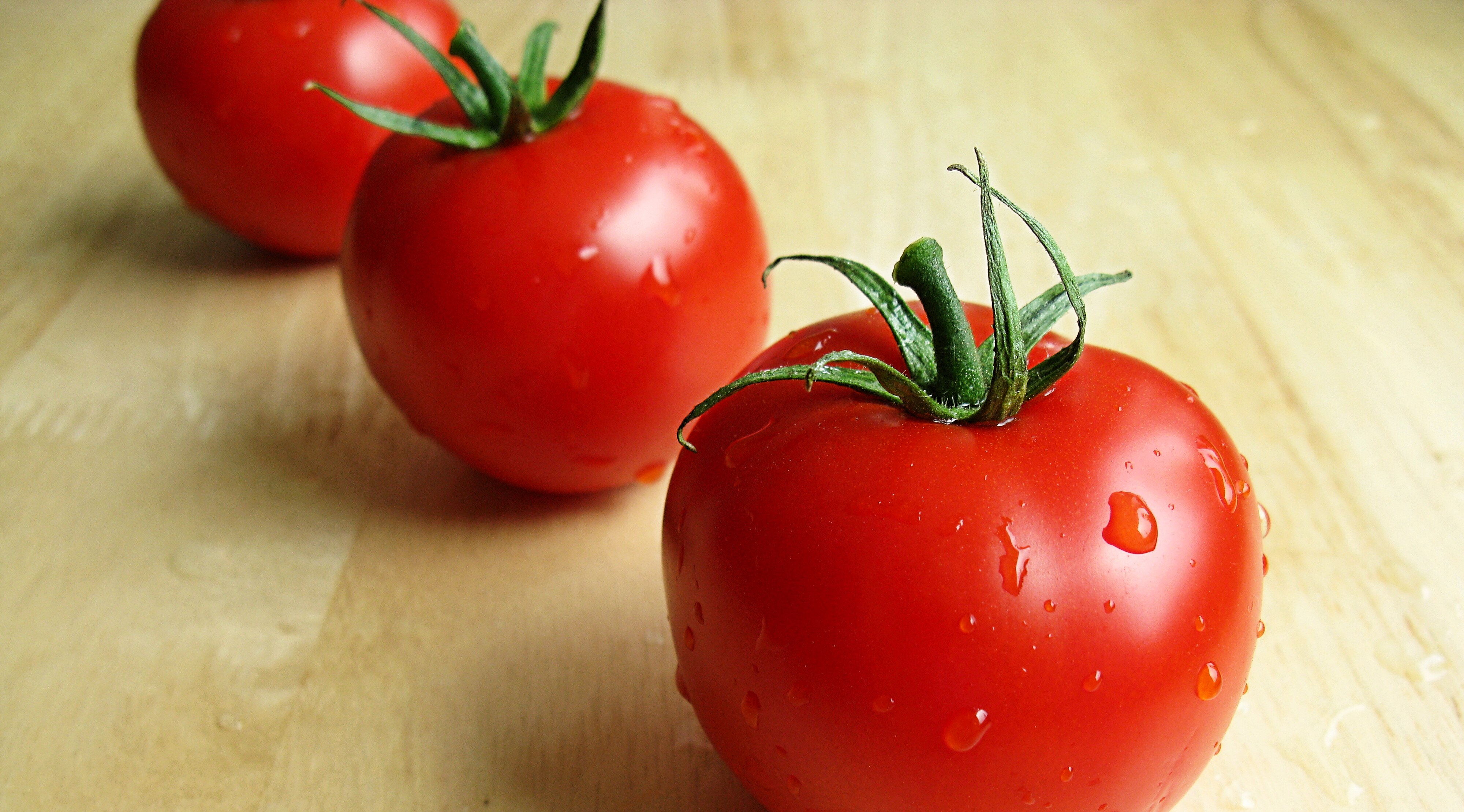 Tomato — what it looks like